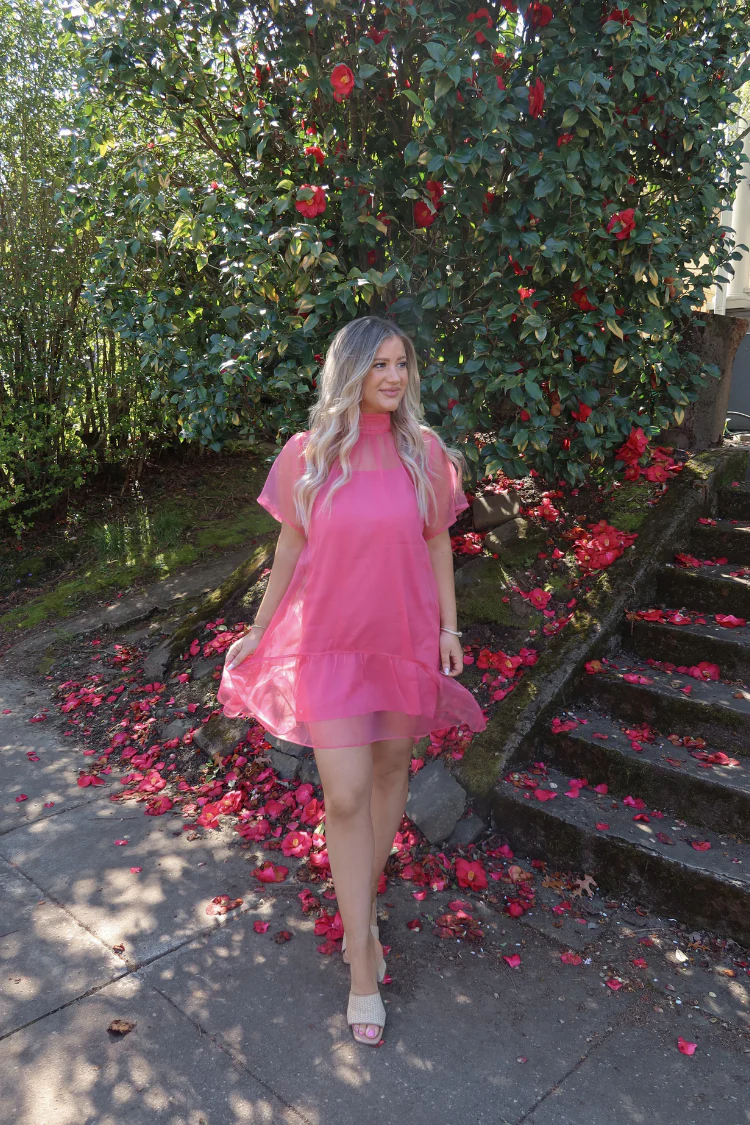 Berny Organza Mock Neck Mini Dress - Pink - Image 3