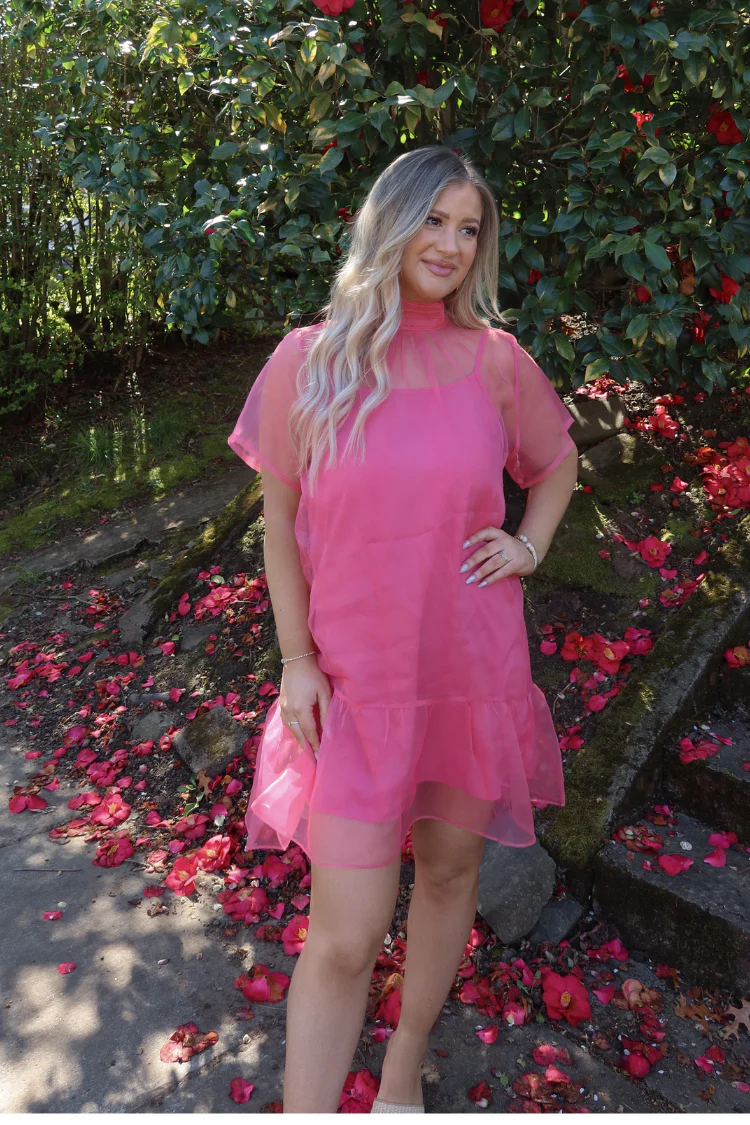 Berny Organza Mock Neck Mini Dress - Pink - Image 4