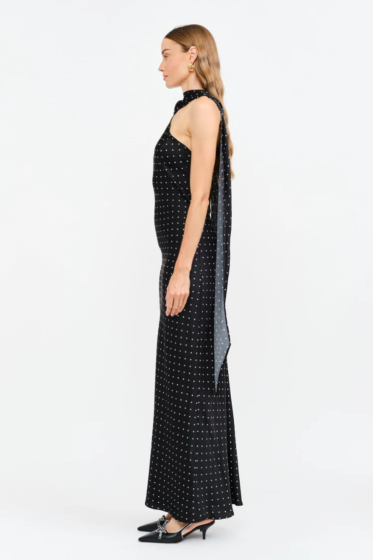 Magdalena Polka Dot Maxi Dress with Neck Scarf - Image 5